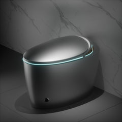 AISU Unique Smart Toilet with Bidet Built In, Intelligent One Piece Toilet For Modern Bathroom, Auto Open/Close Seat, Foot Sensor, LED Display,Night Light, Warm Water & Dryer, Grey