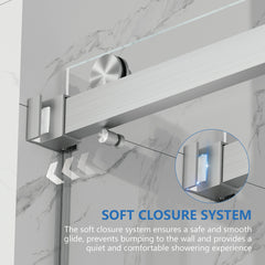 AISU 55-59" x 72" Frameless Double Sliding Shower Door, 5/16"(8mm) Tempered Glass, Brushed Nickel