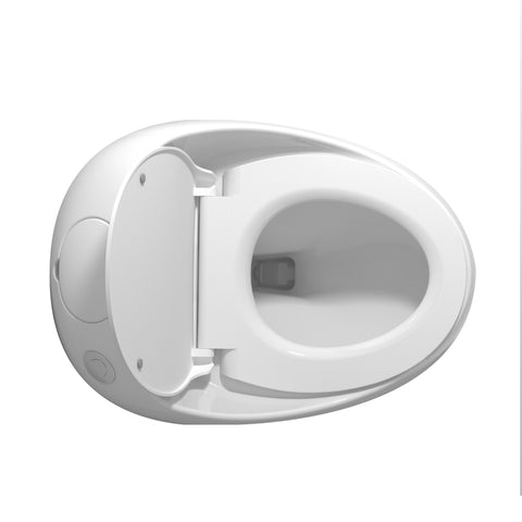 AISU Einteilige Toilette in Eierform mit Einzelspülung, 1,28 GPF