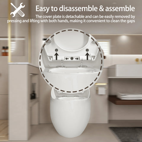AISU Einteilige Toilette in Eierform mit Einzelspülung, 1,28 GPF