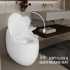 AISU One-Piece 1.28 GPF Single Flush Egg Shape Toilet