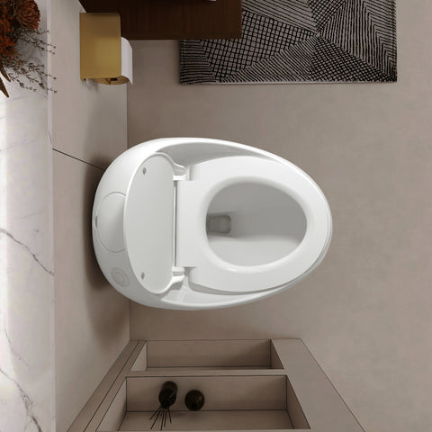 AISU Einteilige Toilette in Eierform mit Einzelspülung, 1,28 GPF
