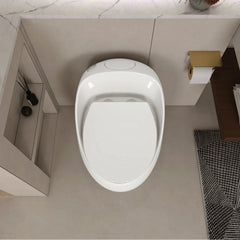 AISU One-Piece 1.28 GPF Single Flush Egg Shape Toilet
