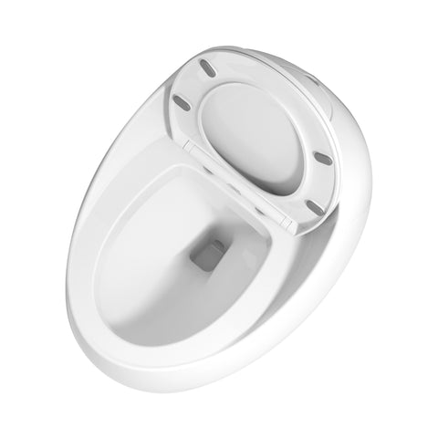 AISU Einteilige Toilette in Eierform mit Einzelspülung, 1,28 GPF