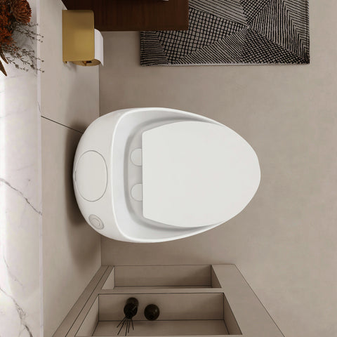 AISU Einteilige Toilette in Eierform mit Einzelspülung, 1,28 GPF
