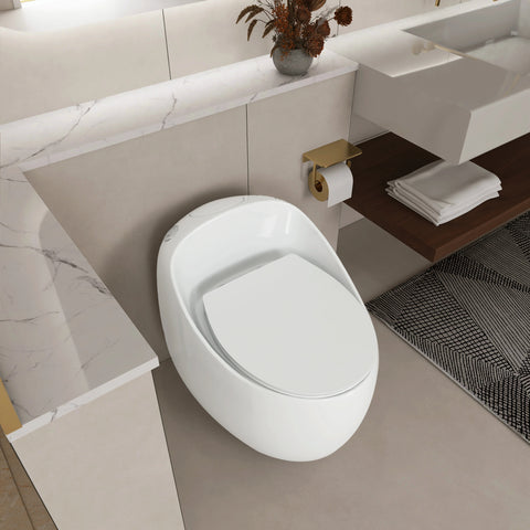 AISU Einteilige Toilette in Eierform mit Einzelspülung, 1,28 GPF