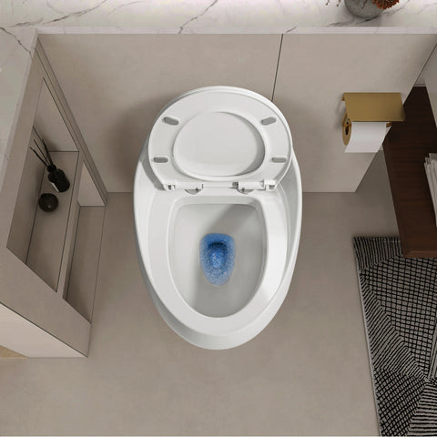 AISU Einteilige Toilette in Eierform mit Einzelspülung, 1,28 GPF