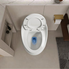 AISU One-Piece 1.28 GPF Single Flush Egg Shape Toilet