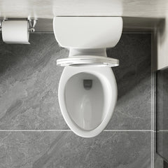 AISU 1.28 GPF Tornado Flush Two-piece Toilet for bathrooms, Gloss White
