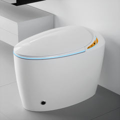 AISU Unique Smart Toilet with Bidet Built In, Intelligent One Piece Toilet For Modern Bathroom, Auto Open/Close Seat, Foot Sensor, LED Display, Night Light, Warm Water & Dryer, White